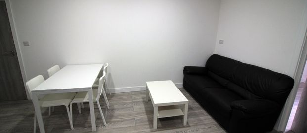 Flat 1, 20 Mundy Place, Cathays, Cardiff, CF24 4BZ - Photo 1