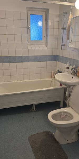 Fäbodvägen, Skogås - Photo 2