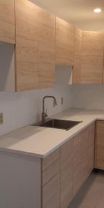 Saint-Rémi, 3 1/2 rénové à louer - Photo 4