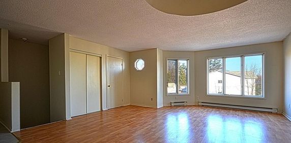 beau grand condo 2 chambres très tranquille 1300 pieds carrés - Photo 2