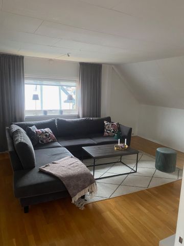 Runebergsgatan, Borås - Foto 4