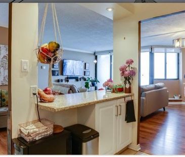 For Lease - 323 Colborne Street Unit# 1603, London East, Ontario - Photo 6