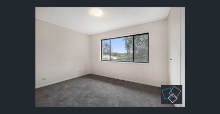 Spacious Family Home in the heart of Chapel Hill - Photo 4