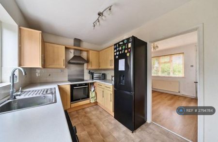 3 bedroom semi-detached house to rent - Photo 3