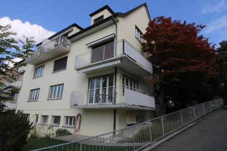 3 Zimmer, 80 m², EG - Foto 5