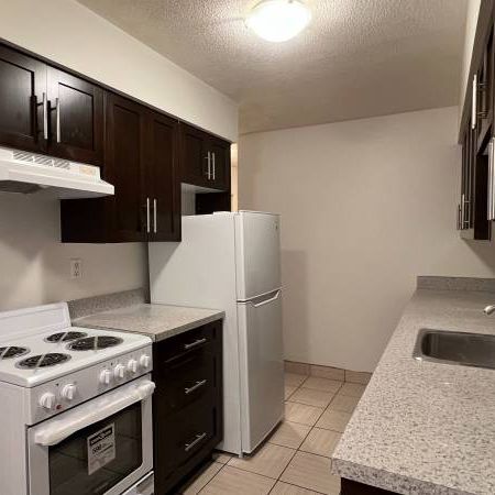 PET FRIENDLY 2 beds + 1 Bath Unit in Marpole - Photo 4