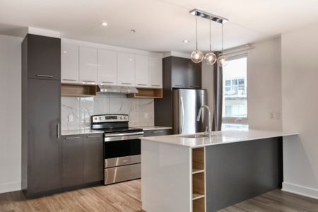 9675 Av. Papineau, app.321, H2B 3C8, H2B 3C8, Montréal - Photo 2
