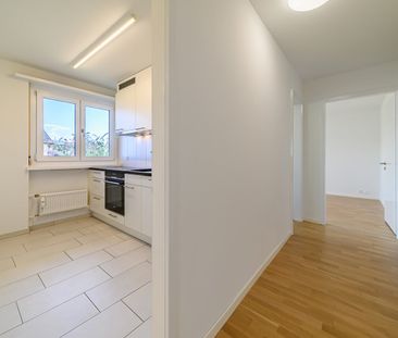 2.5 Zimmer, EG - Photo 1