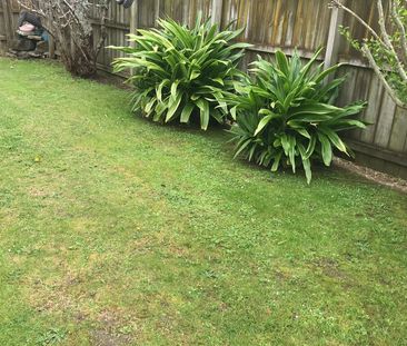 Cute Cottage - Photo 6