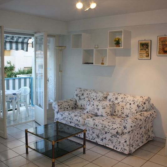 DRAGON Lanterne - DISPONIBLE LE 9 JANVIER 2026 - Photo 1