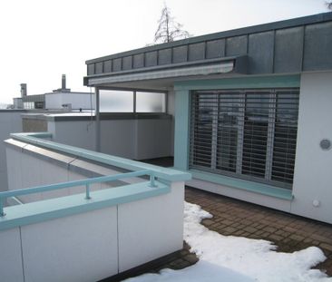 5 ½ Zimmer-Wohnung in Pfäffikon ZH mieten - Foto 5