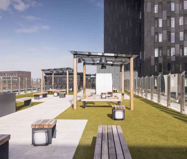 Bronze Studio - Photo 4