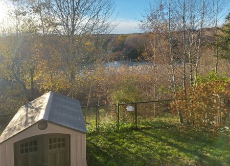 For Lease - 816 Walsh Court, Newmarket, Ontario - Photo 5