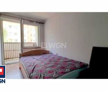 Mieszkanie na wynajem w bloku Głogów - Zdjęcie 2