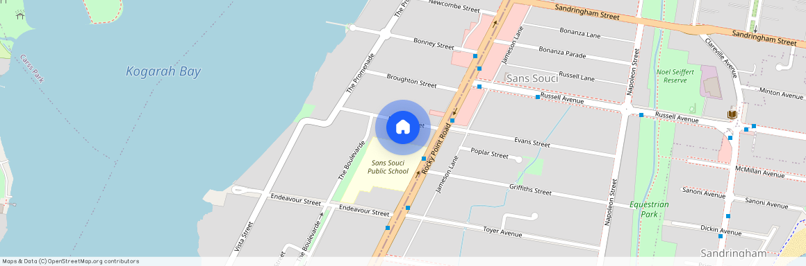 4 Myers Street, NSW 2219, Sans Souci