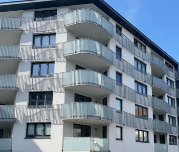 U3 Kendlerstraße: helle ruhige klimatisierte 2-Zimmer-Dachgeschossw... - Photo 5