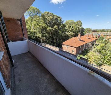 Heigham Grove, Norwich - Photo 4