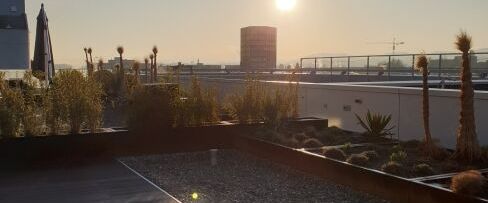 Above the rooftops of Aarau - Photo 1