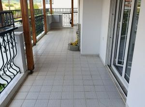 Διαμέρισμα για ενοικίαση - Πυλαία, - Φωτογραφία 5