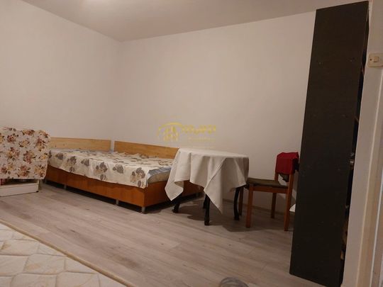 Garsoniera in Tatarasi - Flora - Fotografie 1