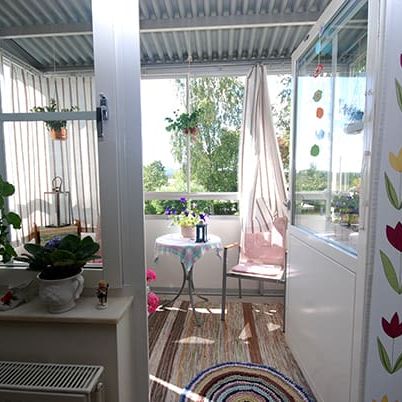 Solberga: Etta i markplan - Foto 1