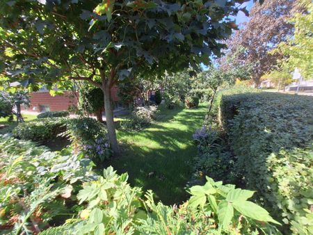 For Lease - 10 Maniza Road, Toronto, Ontario - Photo 4