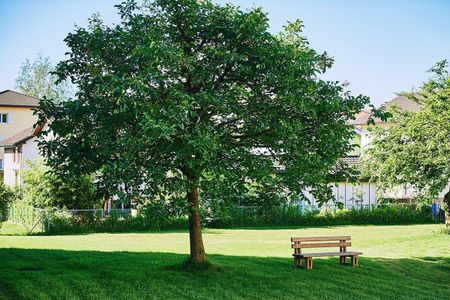 zentrumsnah ¦ Ihr neues Zuhause! - Photo 2