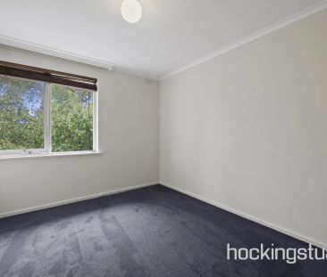 Ultra Convenient First Floor Apartment With Bonus Courtyard Space - Photo 5