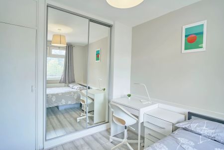 117 Candy Street – Room 1 - Photo 4