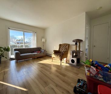 Appartement 3 ½ à louer Lévis juillet 2026 - Photo 1