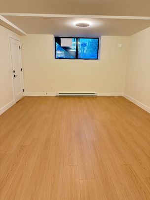 Brand New Basement Suite in Central Abbotsford - Photo 1