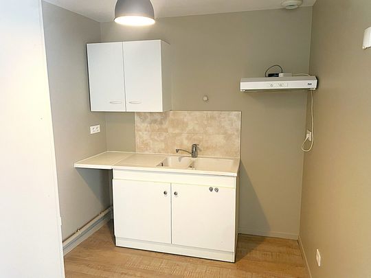 Location Appartement 2 pièces 43m² NEUVILLE SUR SAONE 69250 - Photo 1