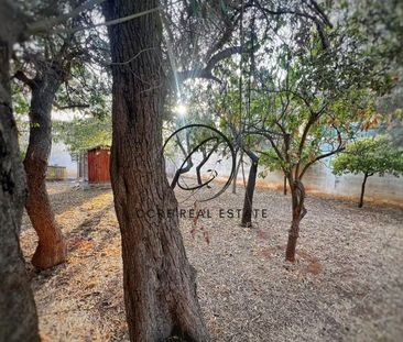Μονοκατοικία 74 τ.μ. προς ενοικίαση - Photo 3