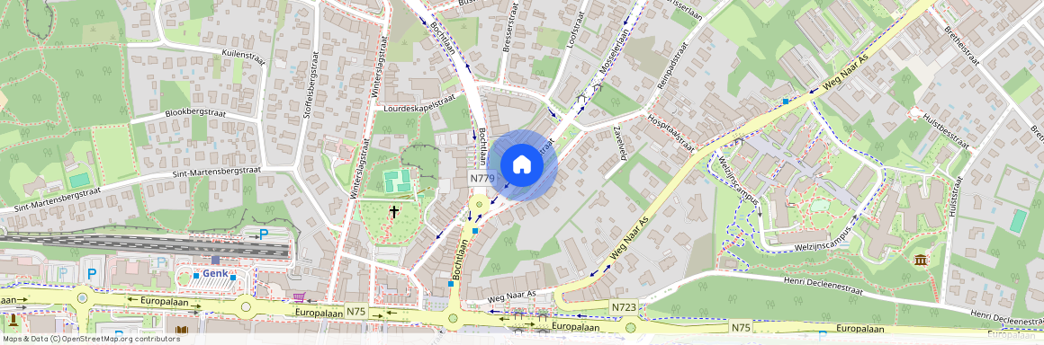 Reinpadstraat, 3600 Genk