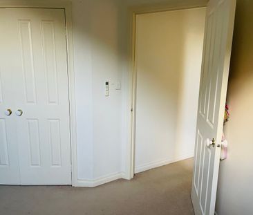 Preston - Photo 2