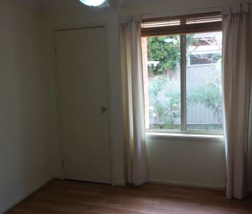 MOUNTAIN VIEWS - Photo 3