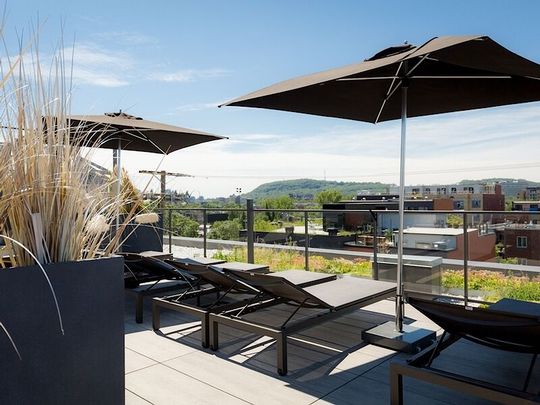 Condo for rent in Montreal - Photo 1