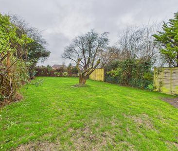 3 bedroom detached bungalow to rent - Photo 6