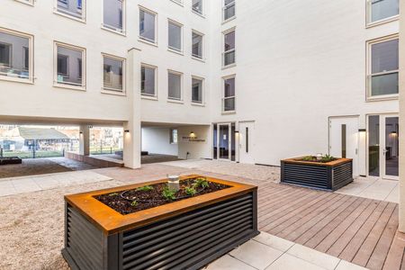 Tesselsestraat 67 L - Photo 5