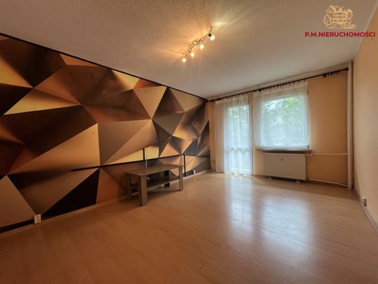 Rybnik Mieszkanie do wynajęcia - Фото 1