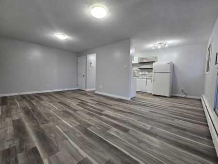 AMAZING FULLY RENO'D Apartment in Lacombe! CATS OK! - Photo 3