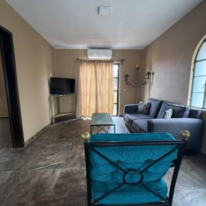 Furnished Apartment with Private Rooftop - Photo 3