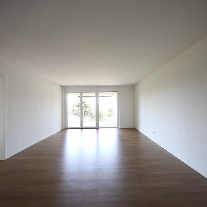2.5 Zimmer, 56 m², 1. Stock - Photo 1