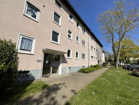 Ab März frei: 3-Zimmer-Wohnung auf dem Knüll! - Photo 3