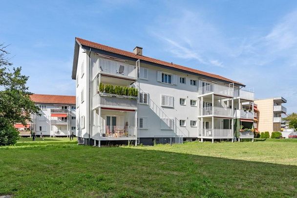 Sonnige Parterre-Wohnung im Frohdörfli Suhr - Foto 1