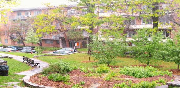 GRAND 4 1/2 PLACE DARLINGTON CARTIER Côte-des-Neiges - Photo 2