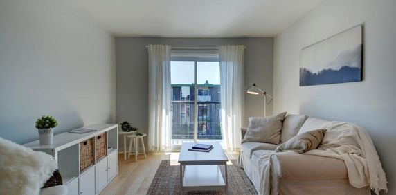 Appartement 4 ½ à louer Beauport juillet 2026 - Photo 2