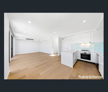 Luxury Penthouse Living in Rose Bay - Photo 6