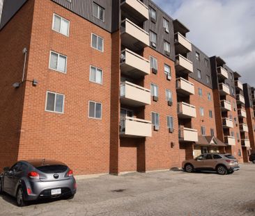 For Lease - 36 Freeborn Avenue Unit# 210, Brantford, Ontario - Photo 4