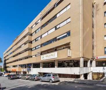 São Vicente, Braga - Photo 5